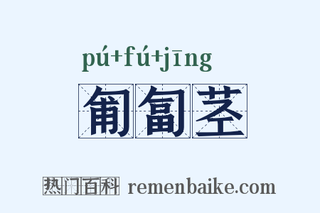 匍匐茎是什么意思的图片